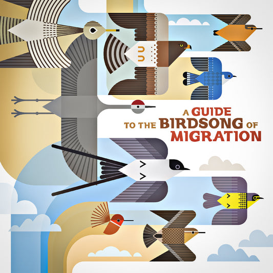 (PRE-ORDER 11/14/25) A Guide To The Birdsong Of Migration (VINYL) | Mint (M) Mint (M)