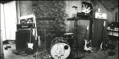 Weezer | Mint (M) Mint (M)