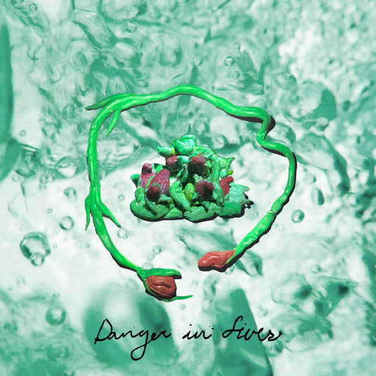 Danger In Fives *PREORDER 08/08/2025*(Danger Red Vinyl) | Mint (M) Mint (M)
