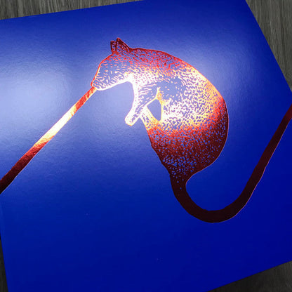 Rats Don't Eat Synthesizers (VINYL) | Mint (M) Mint (M)