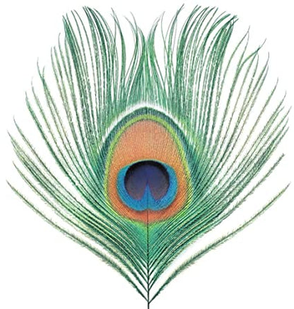 Xtc - Apple Venus Vol. 1 (200g Vinyl Import) | Mint (M) Mint (M)
