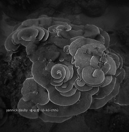 Penghu Experimental Sound Studio Vol. 2 |