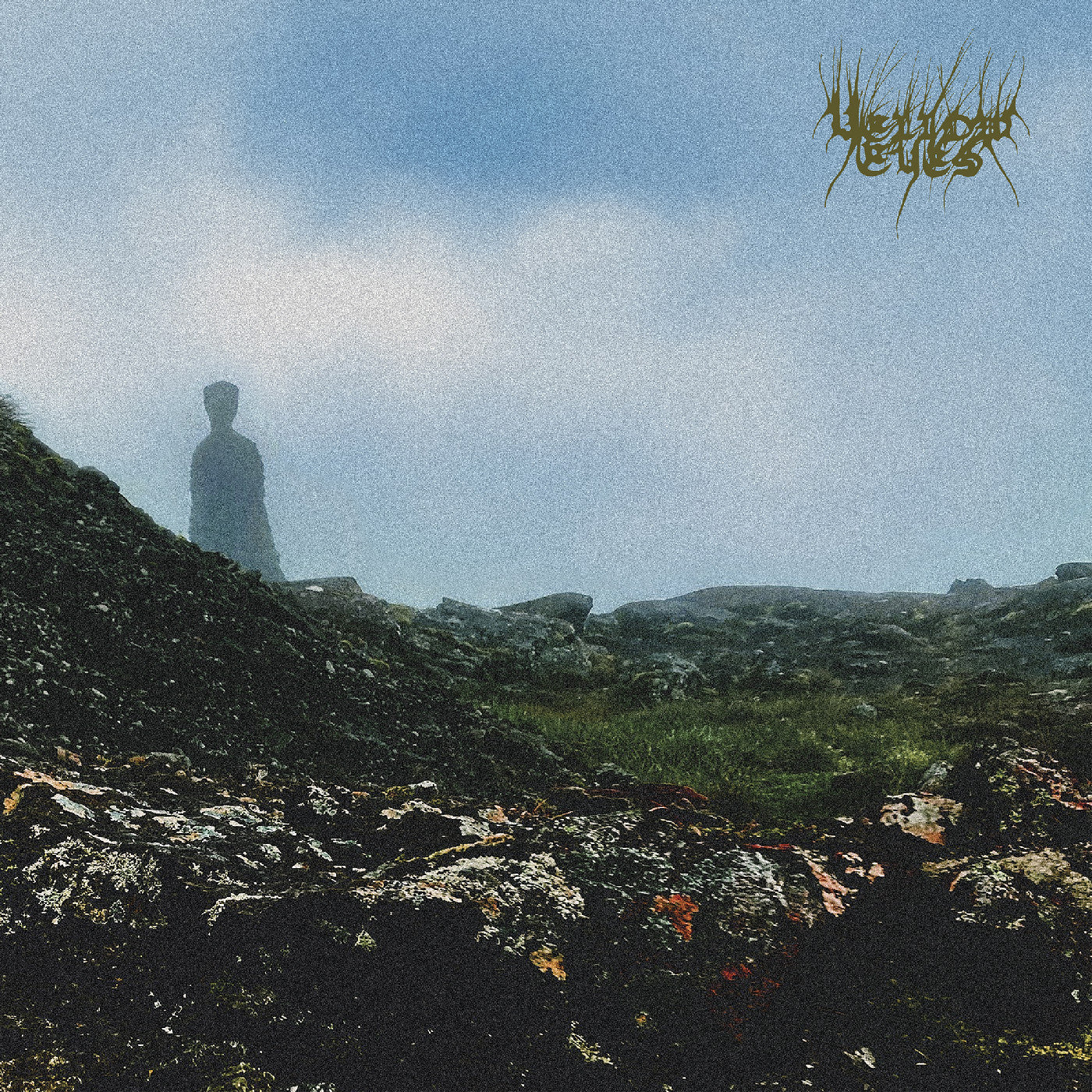 Confusion Gate (2x Vinyl) | Mint (M) Mint (M)
