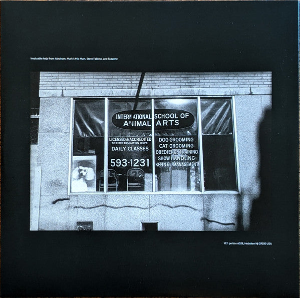 This Stupid World | Mint (M) Mint (M)