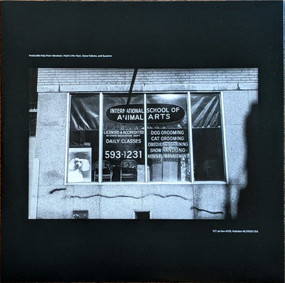 This Stupid World | Mint (M) Mint (M)