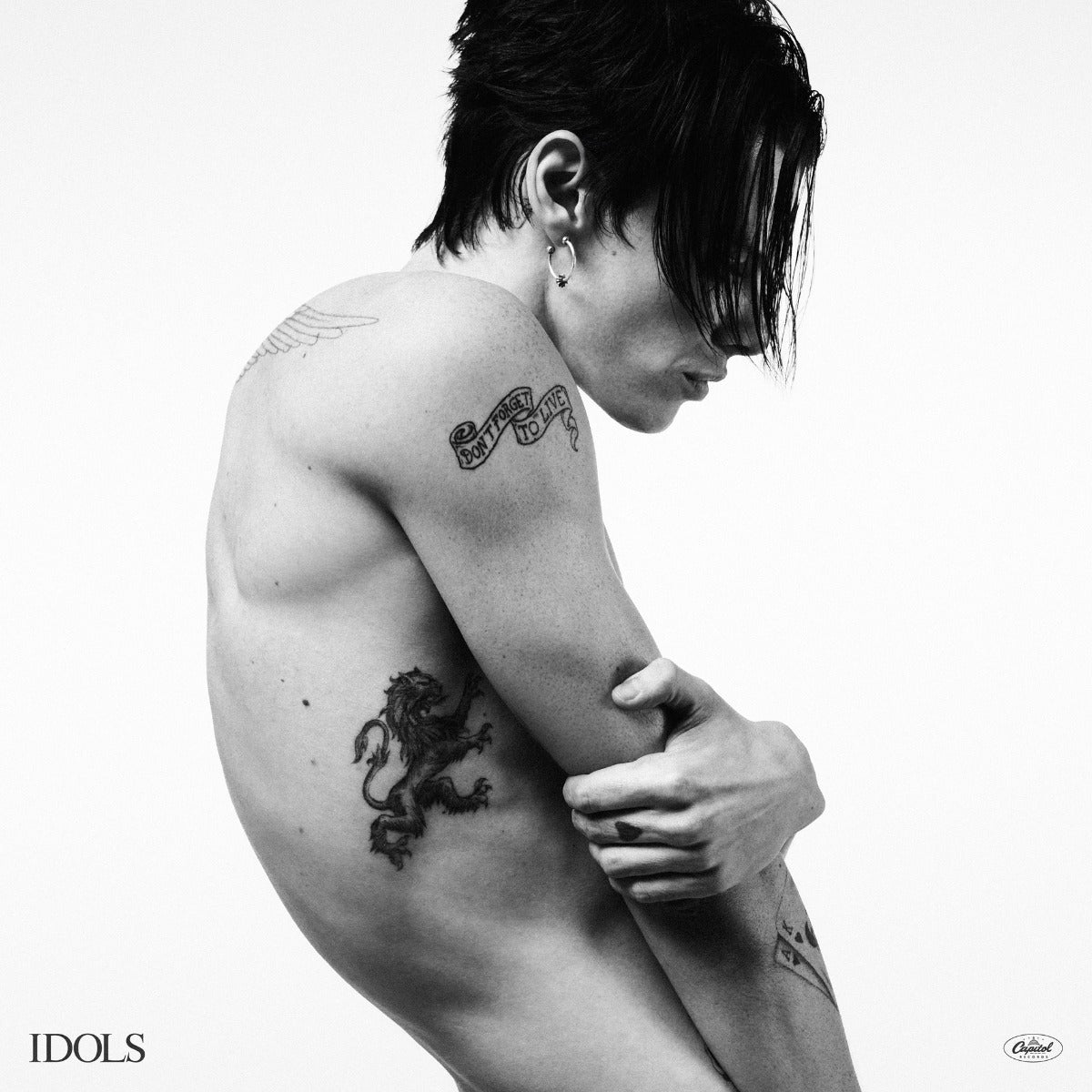 Idols (VINYL) | Mint (M) Mint (M)
