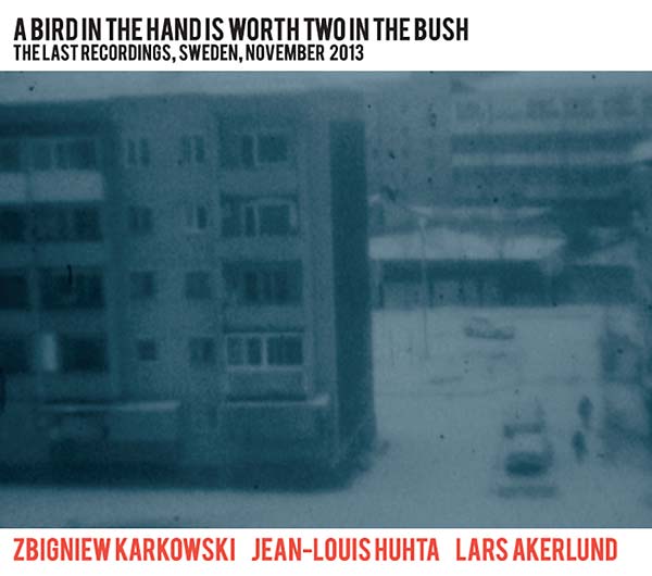 A Bird in the Hand Is Worth Two in the Bush: The Last Recordings, Sweden, November 2013 |